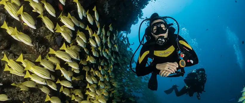 Scuba Diving In Croatia Europe Yachts Charter