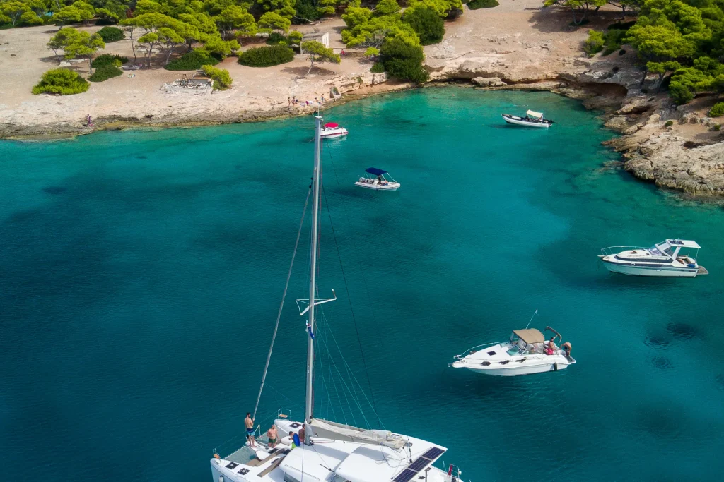 Catamaran and day boats anchored off a pine-fringed beach