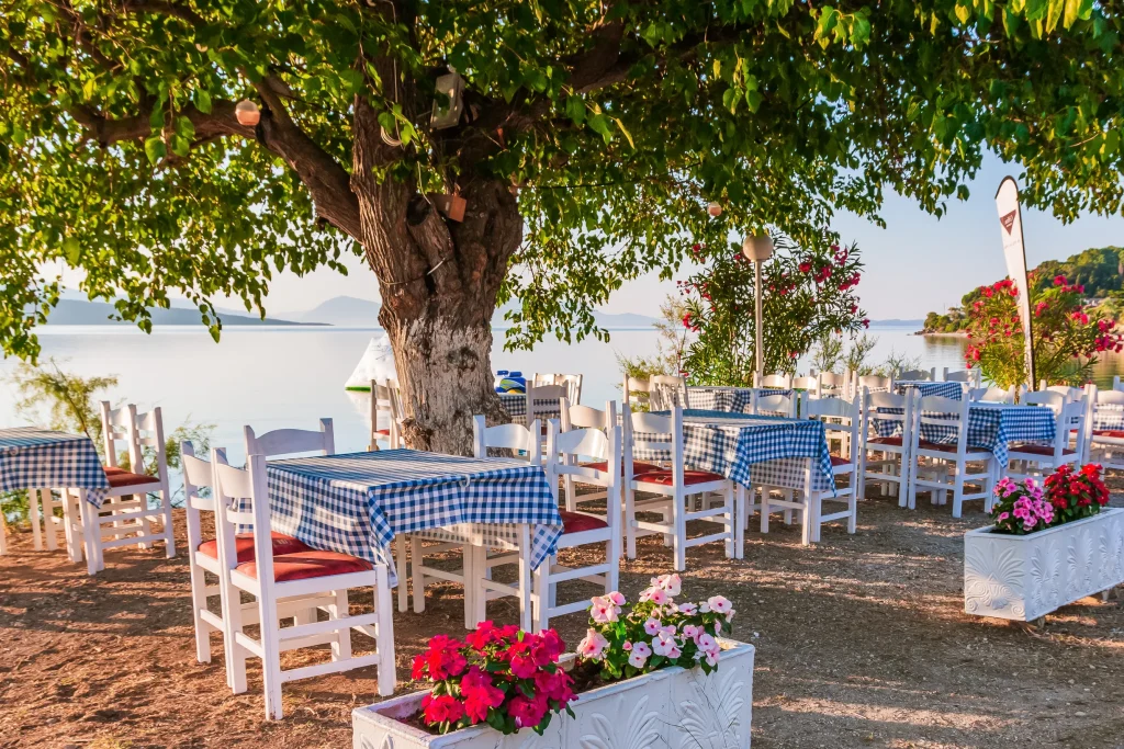 Taverna tables with checked tablecloths under old tree by calm sea