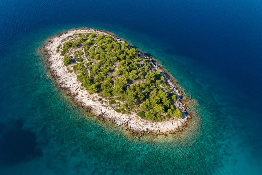 Aerial of small uninhabited rocky islet covered in pine forest