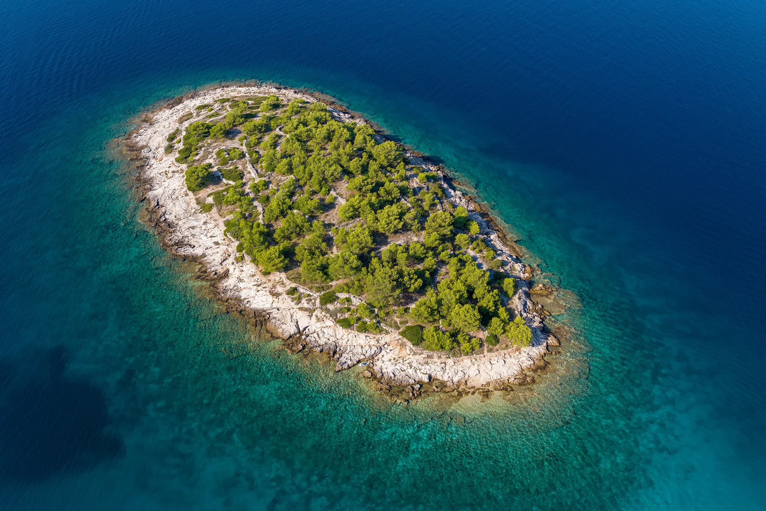 Aerial of small uninhabited rocky islet covered in pine forest