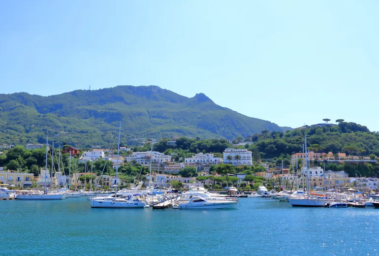 Sailboats and motor yachts moored in an island marina beneath a green mountain